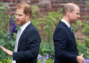 خلاف جديد بين الاميرين ويليام وهاري.. اليكم السبب