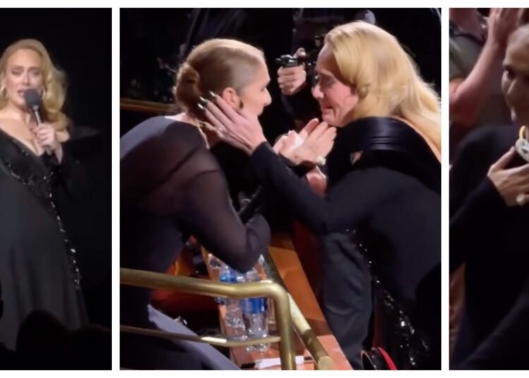 فيديو مؤثر- أديل تنهار بالبكاء بعد رؤيتها سيلين ديون