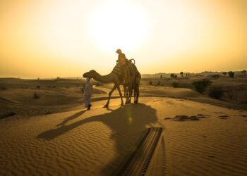 هل سمعتم بـ “جمل أوبر” في دبي؟