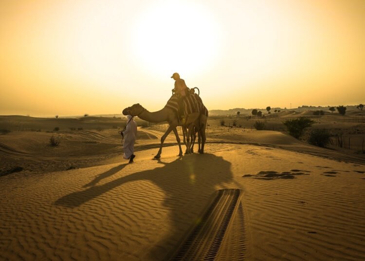 هل سمعتم بـ “جمل أوبر” في دبي؟