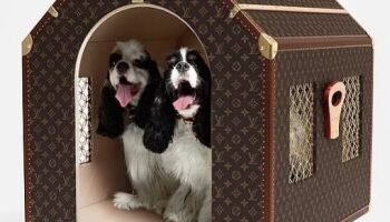 “لويس فيتون” تطرح بيتًا لـ”الكلاب”.. وسعره آلاف الدولارات