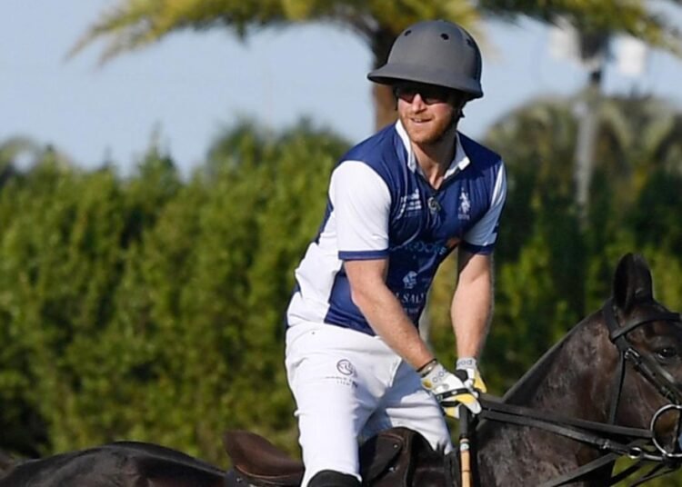 طرح برومو مسلسل الأمير هاري “Polo” وهذا موعد عرضه