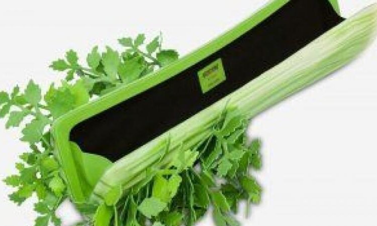 حقيبة يد على شكل “كرفس” وسعرها خيالي