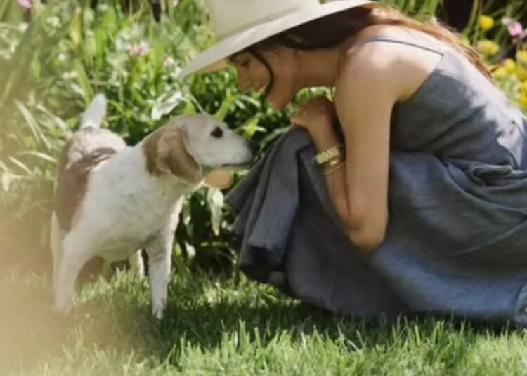 ميغان ماركل تبكي بحرقة بعد وفاة كلبها