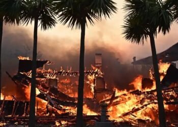 وفاة فنان شهير في حرائق لوس انجلوس