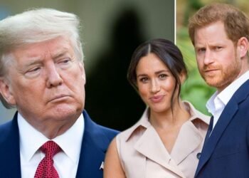 هل ينوي دونالد ترامب ترحيل الأمير هاري؟