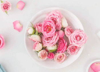 أقنعة ماء الورد.. سرّ الجمال الطبيعي لبشرتك