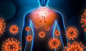 ما هو الفيروس المخلوي التنفسي؟