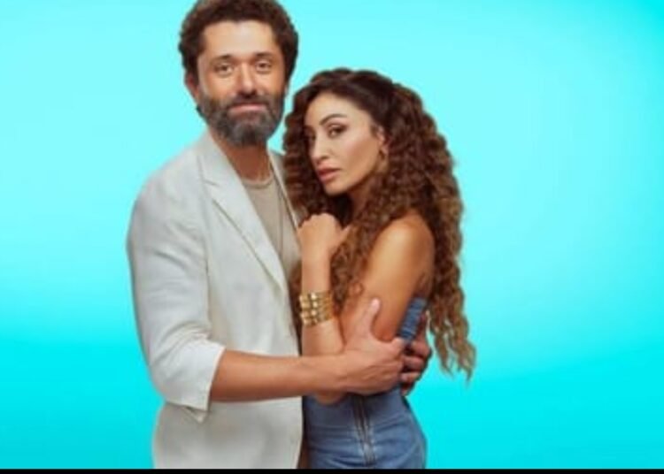 ابنة كريم محمود عبدالعزيز تشنّ هجوماً عنيفاً على دينا الشربيني وروبي