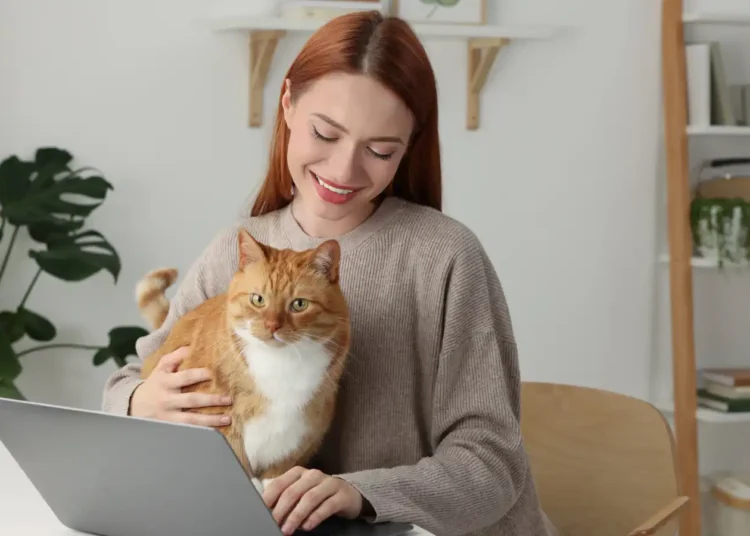 علماء يكتشفون سراً جينياً في القطط لمحاربة السرطان