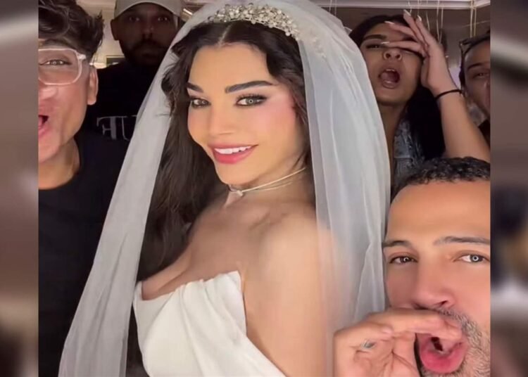 هيفاء وهبي بفستان الزفاف برفقة سانت ليفانت.. ما القصة؟